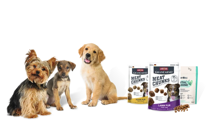 Ich habe darüber nachgedacht, was du zur Auswahl der besten Animonda Haustiersnacks gesagt